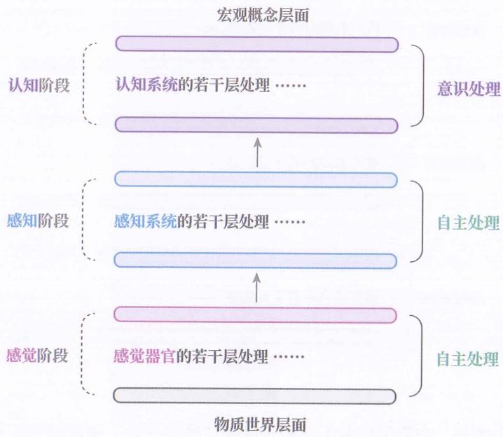 07 记忆编码 · 原书插图 file31.jpg