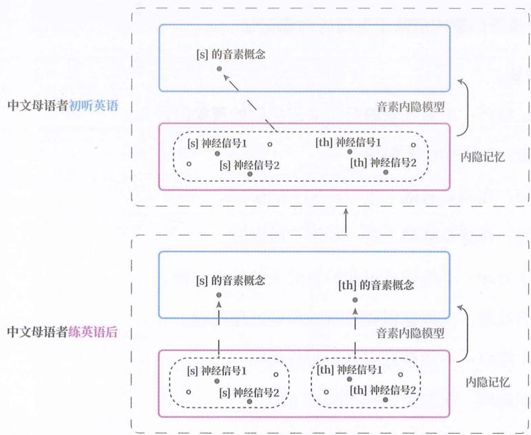 07 记忆编码 · 原书插图 file33.jpg